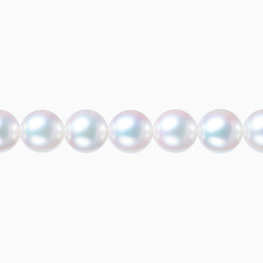 ネックレストップ