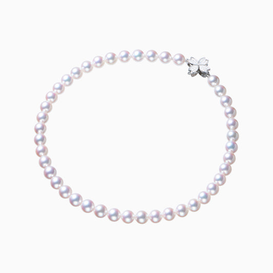 俯瞰正円サムネイル