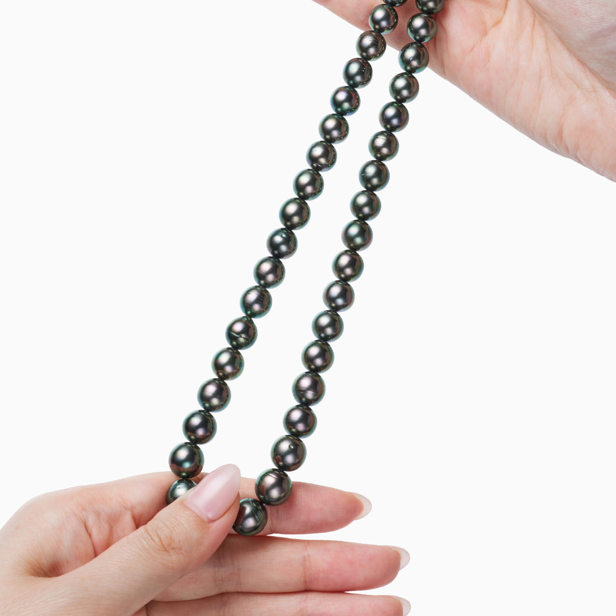手持ち