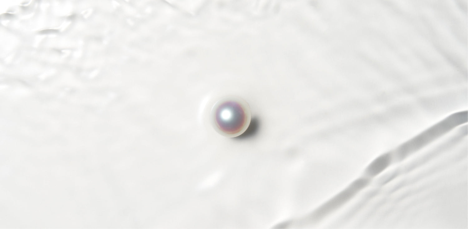 白蝶真珠ペア・ルース