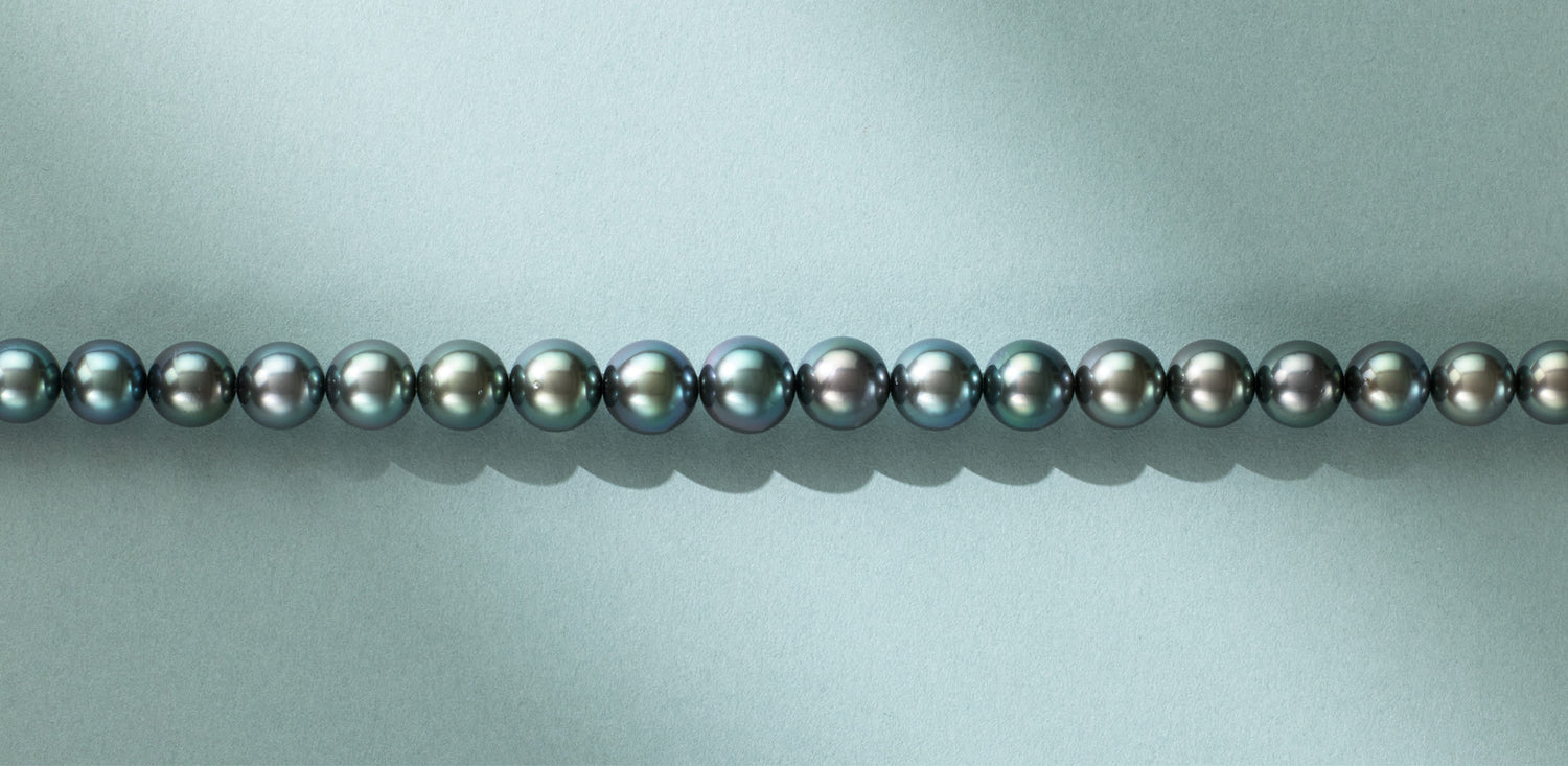 リキテア産プレミアムピーコック