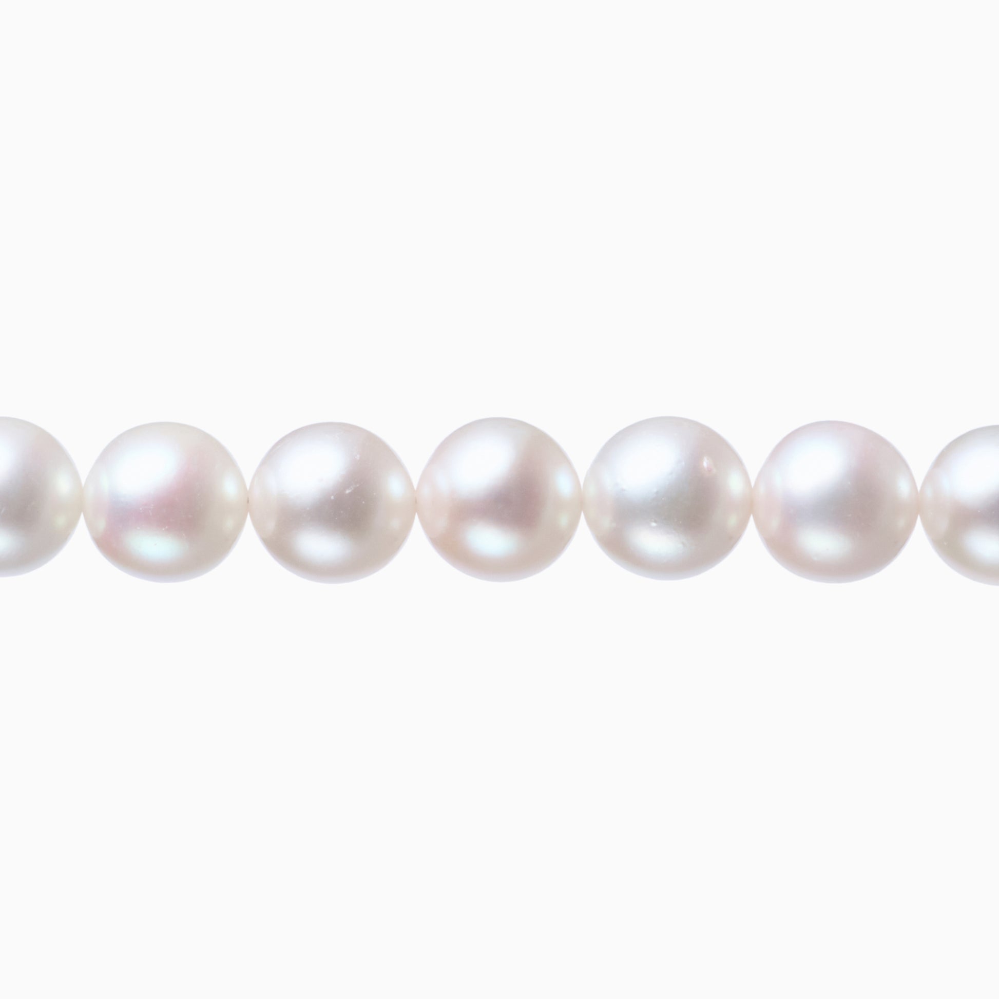 ネックレストップ