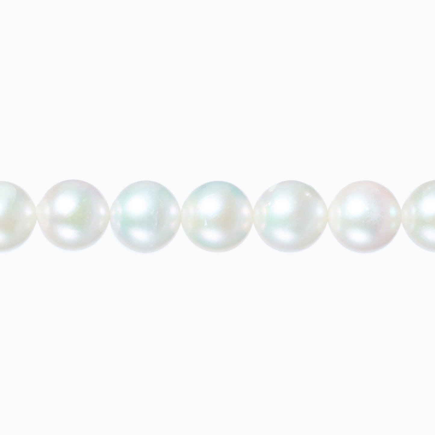 ネックレストップ