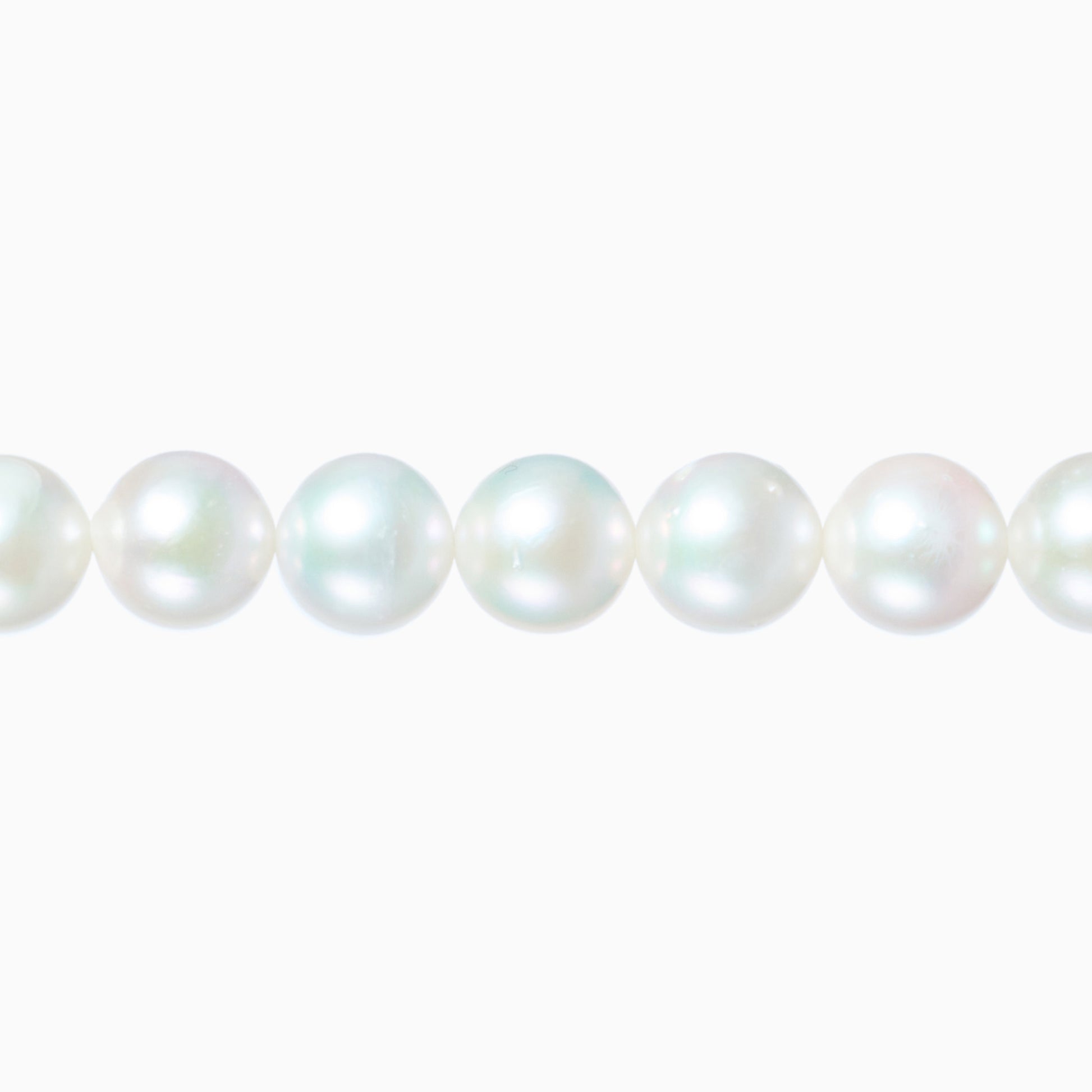 ネックレストップ