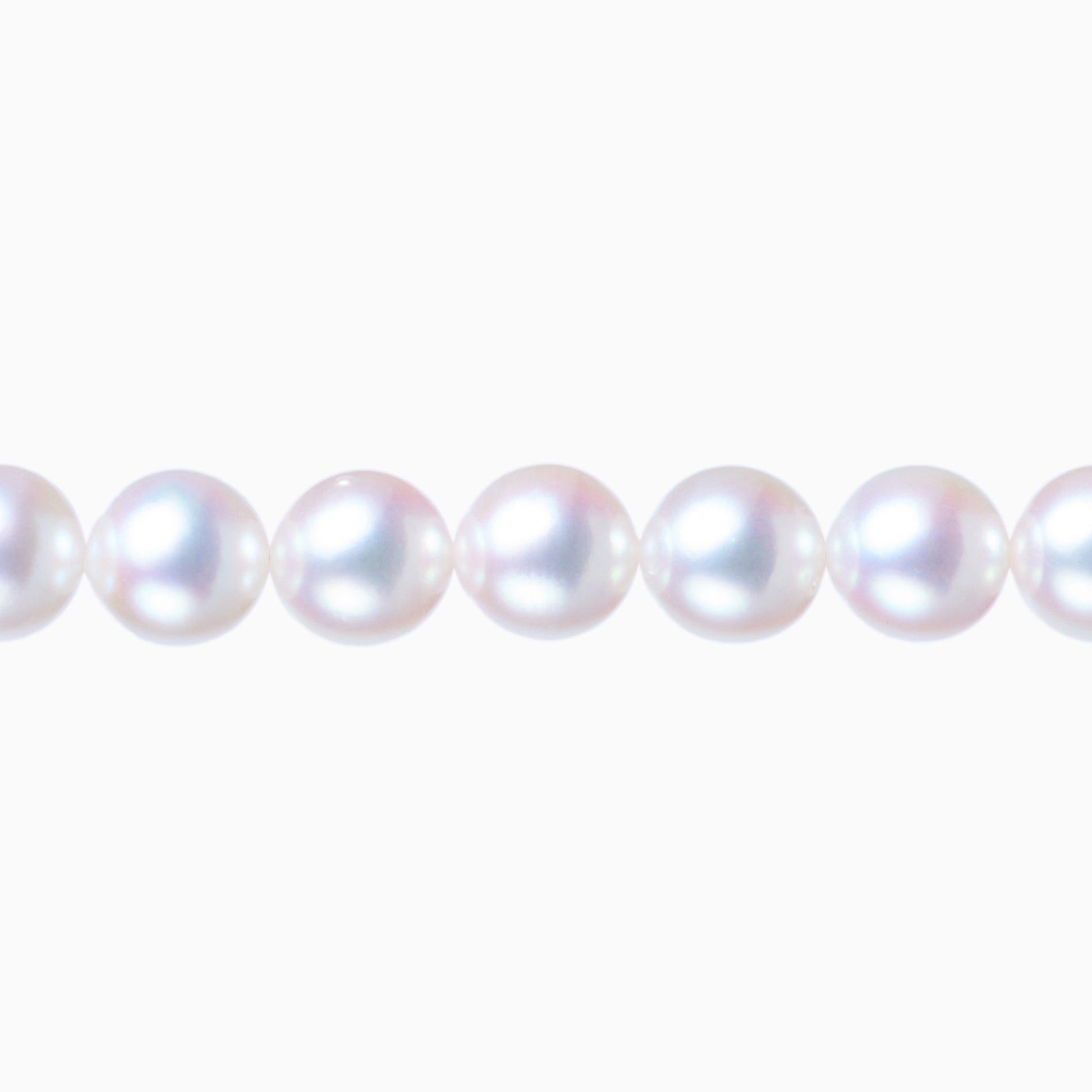 ネックレストップ