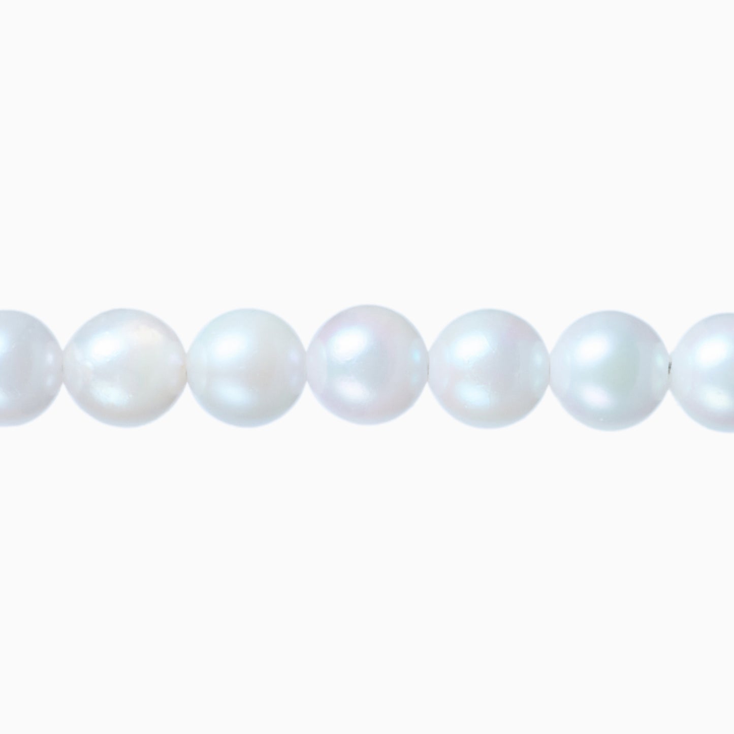 ネックレストップ