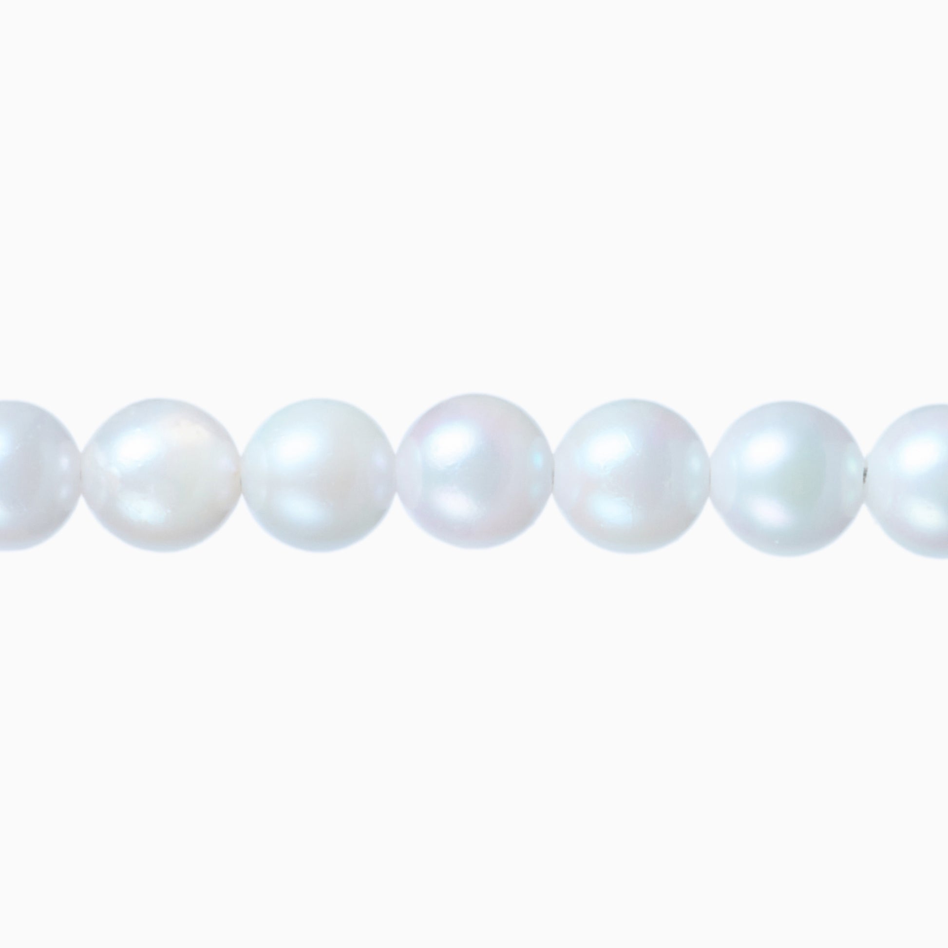 ネックレストップ