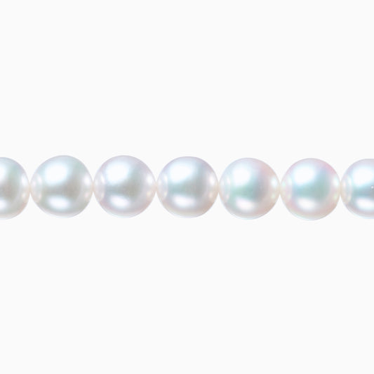 ネックレストップ