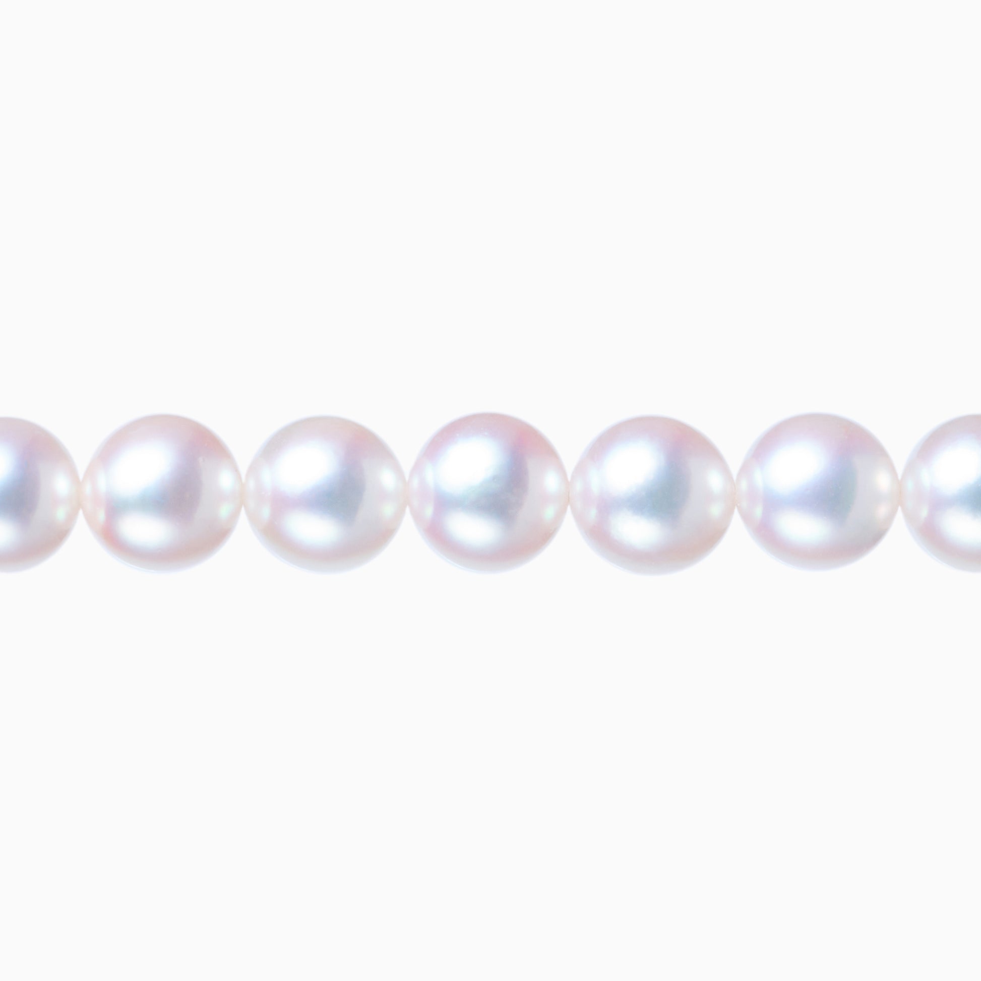 ネックレストップ