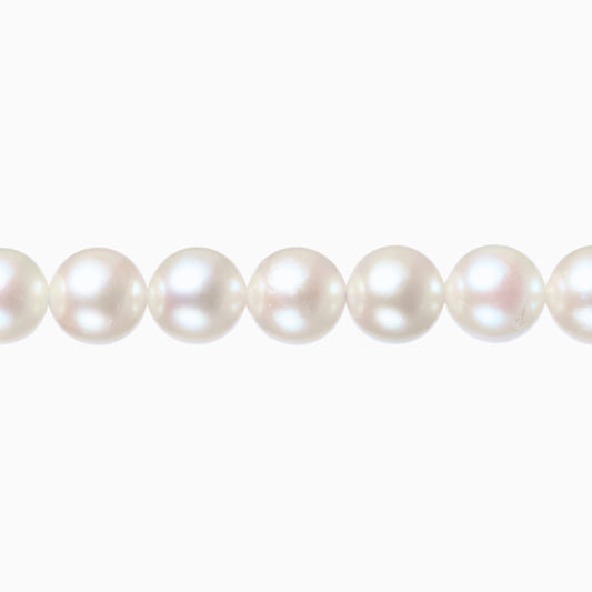 ネックレストップ