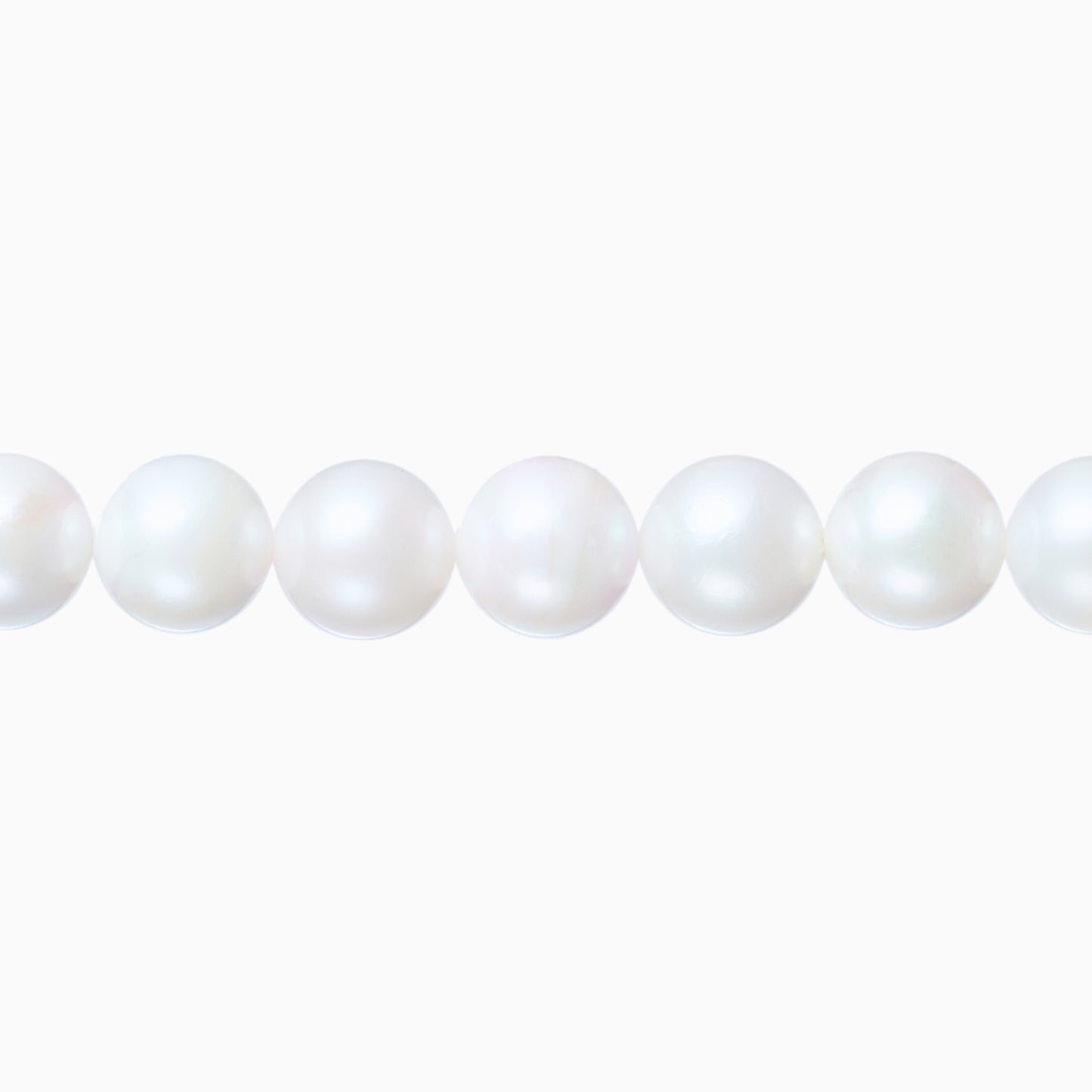 ネックレストップ