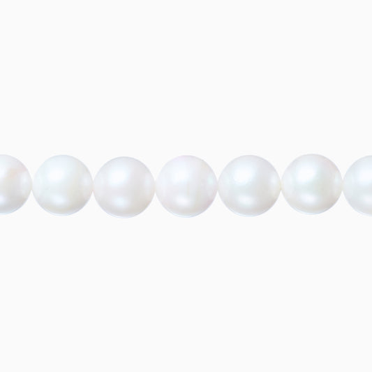 ネックレストップ