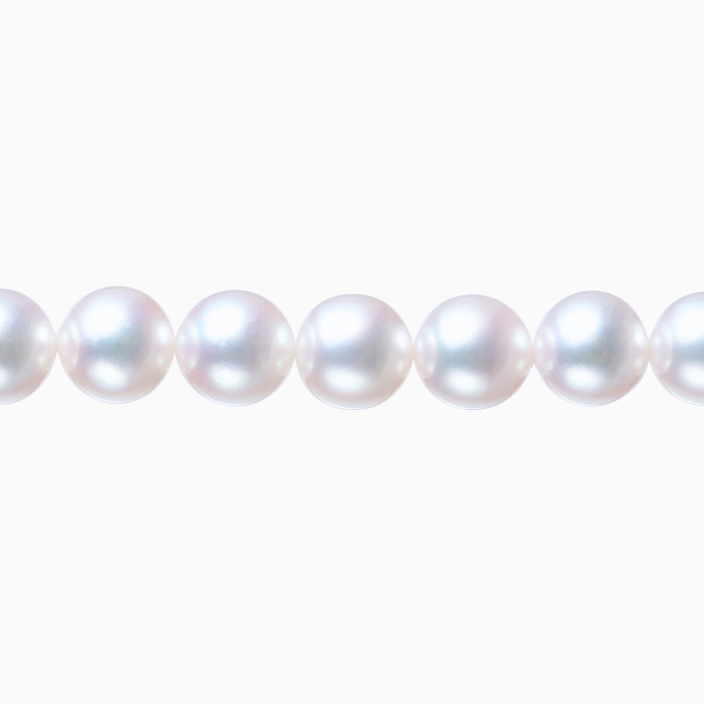 ネックレストップ