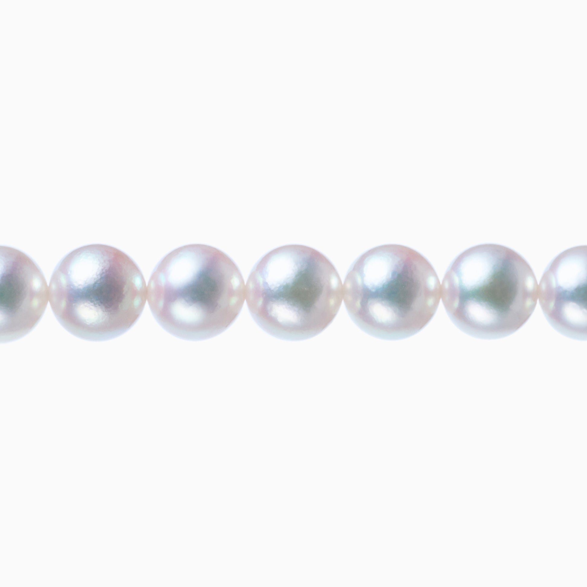 ネックレストップ