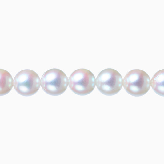 ネックレストップ