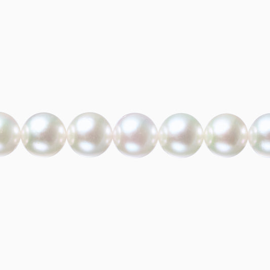 ネックレストップ