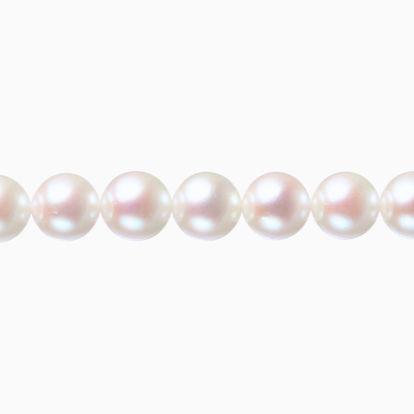 ネックレストップ