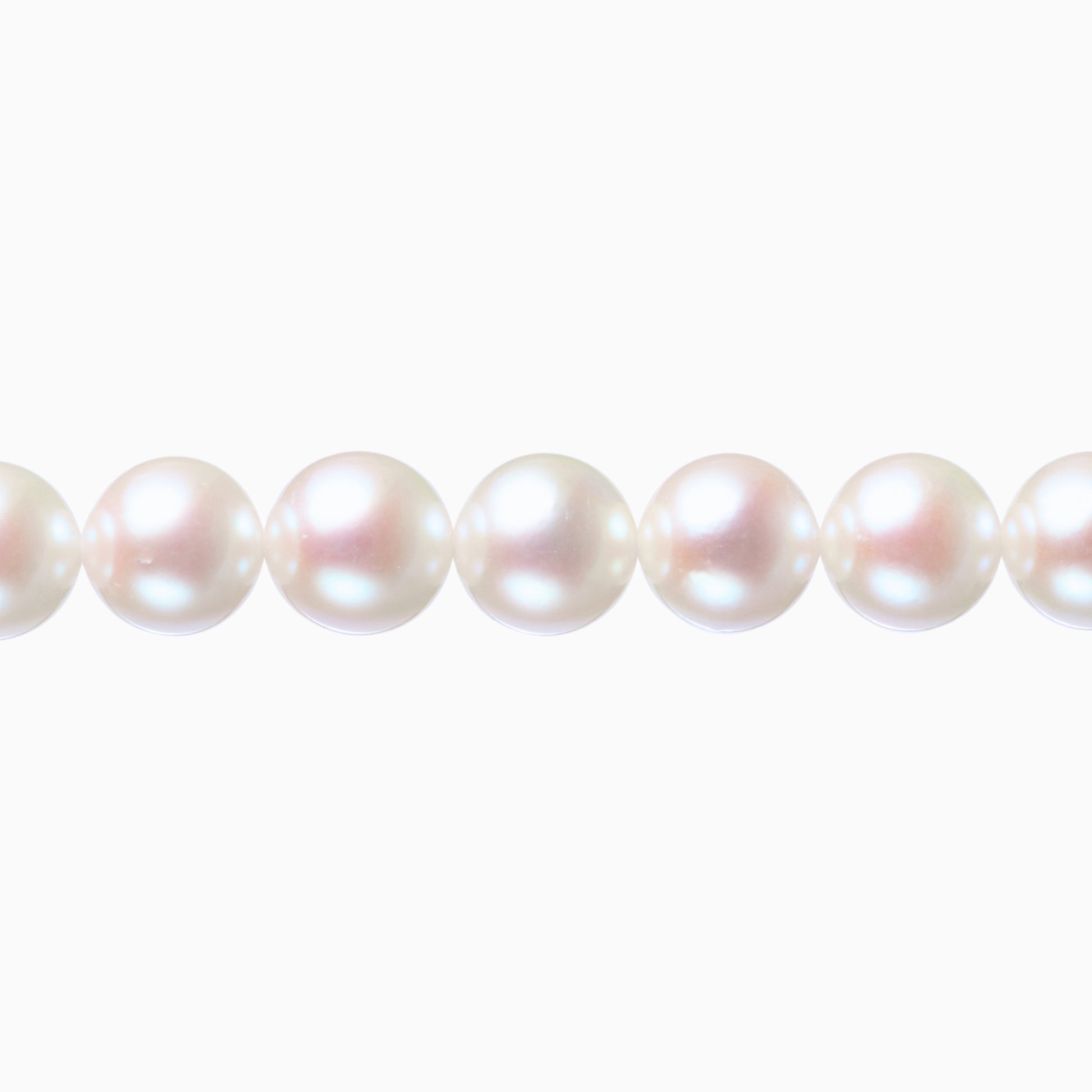 ネックレストップ