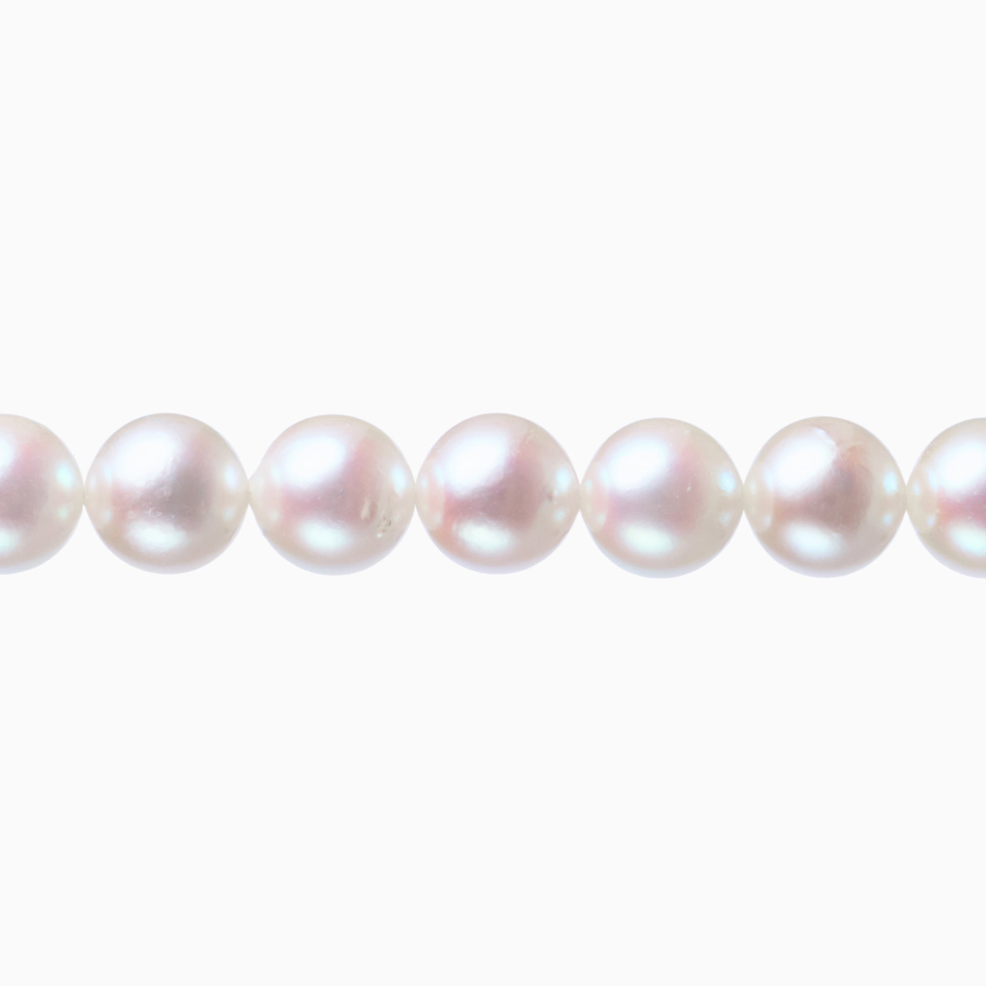 ネックレストップ