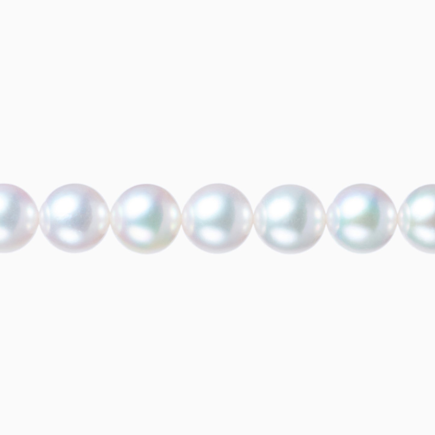 ネックレストップ