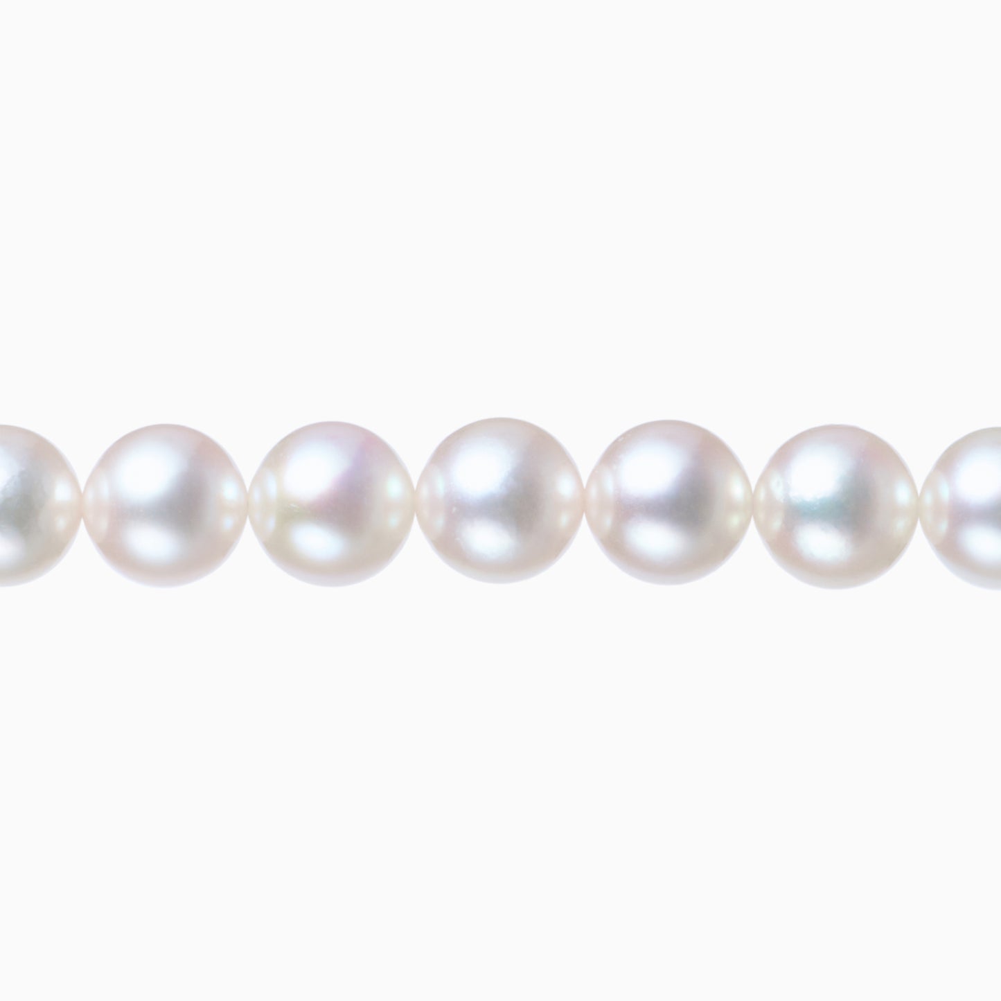 ネックレストップ