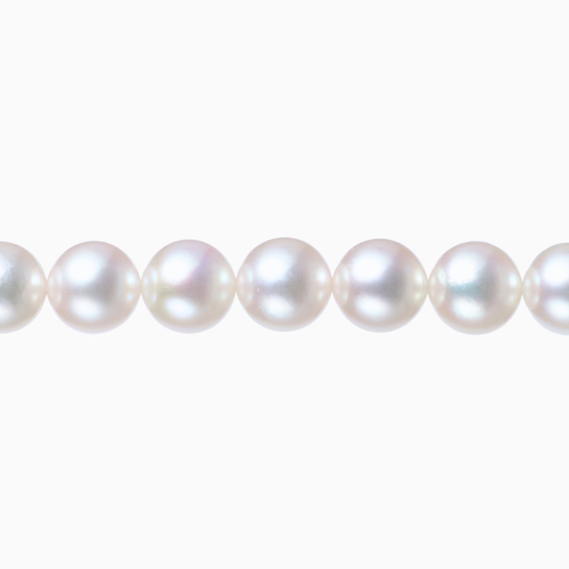 ネックレストップ