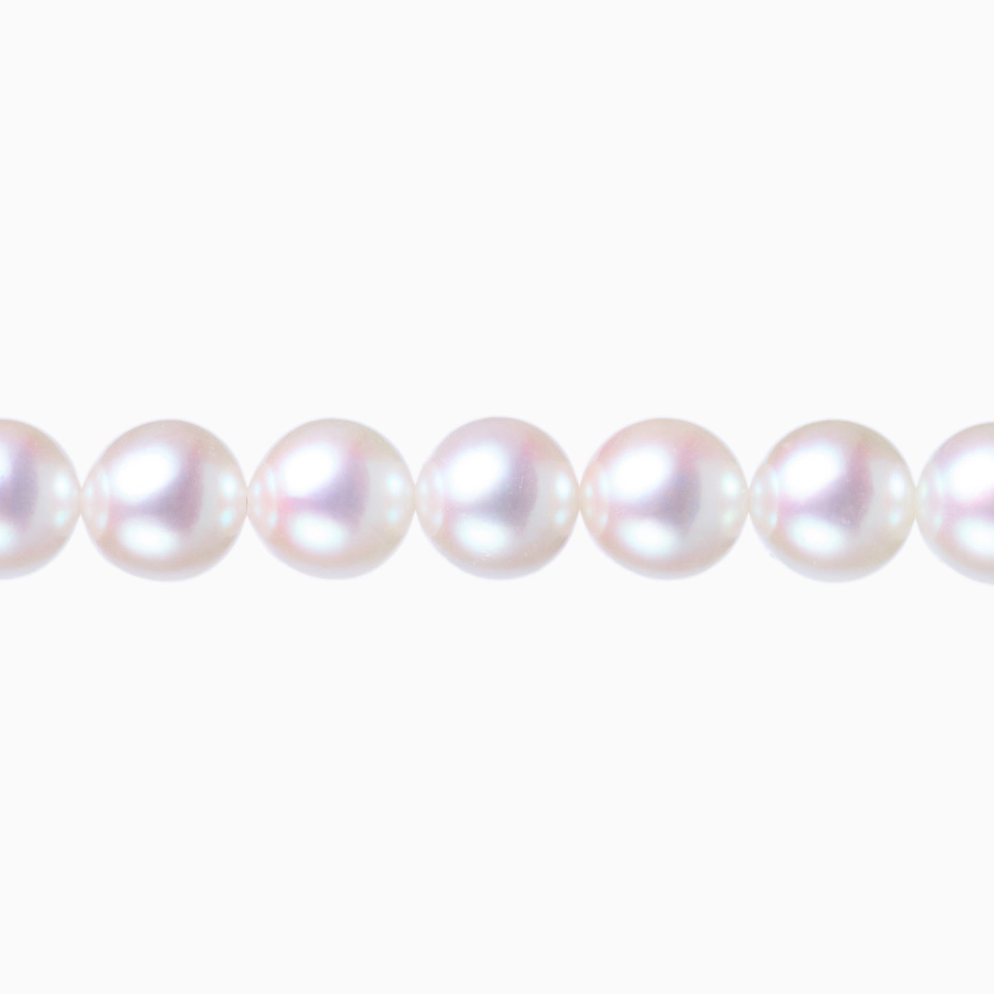 ネックレストップ