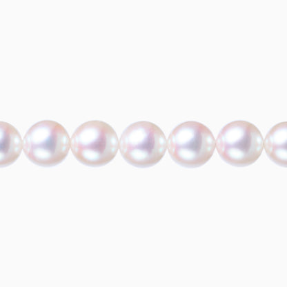 ネックレストップ