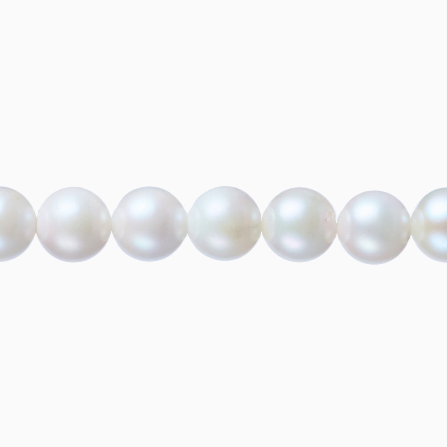 ネックレストップ