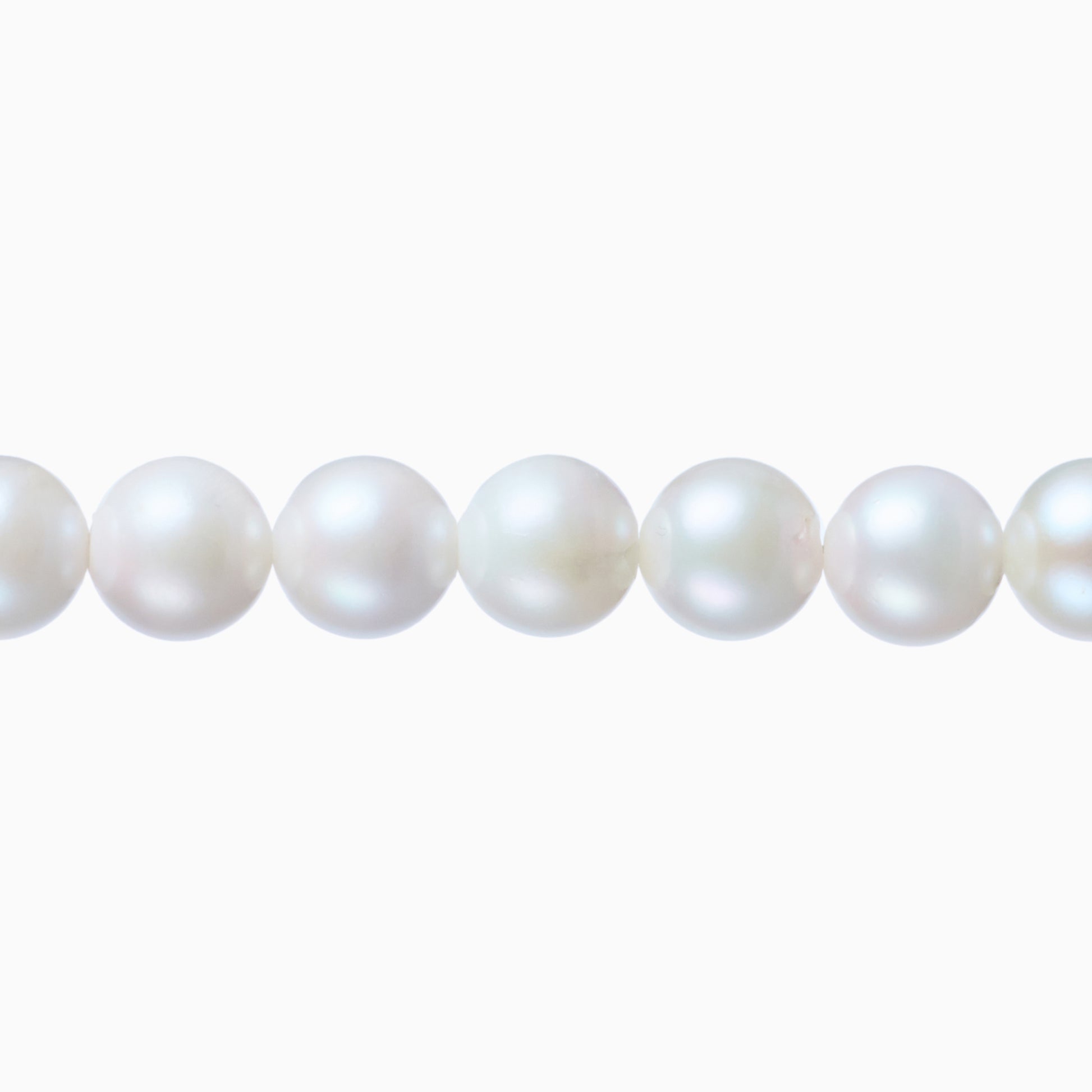 ネックレストップ