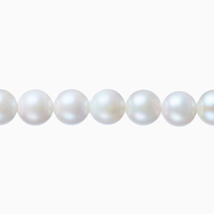 ネックレストップ