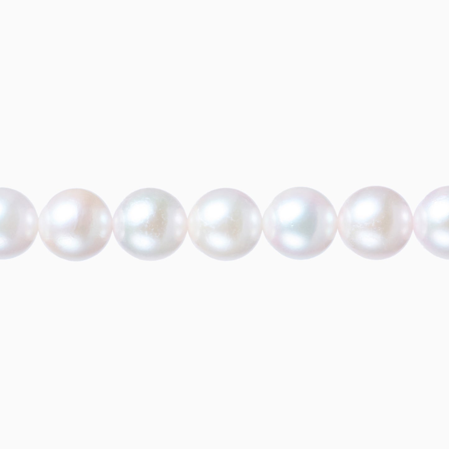 ネックレストップ