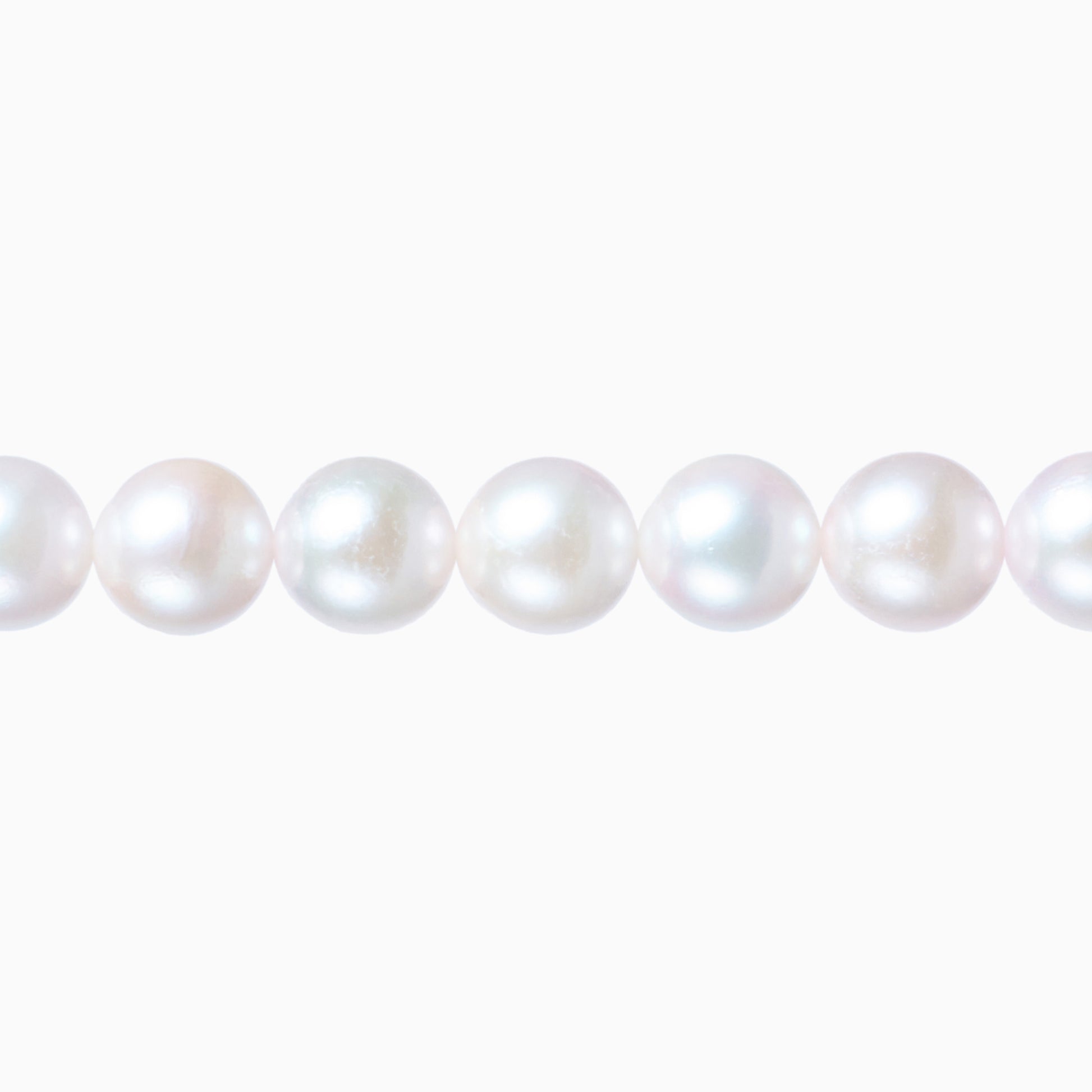 ネックレストップ