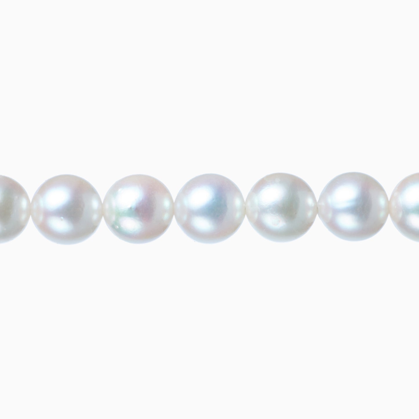 ネックレストップ