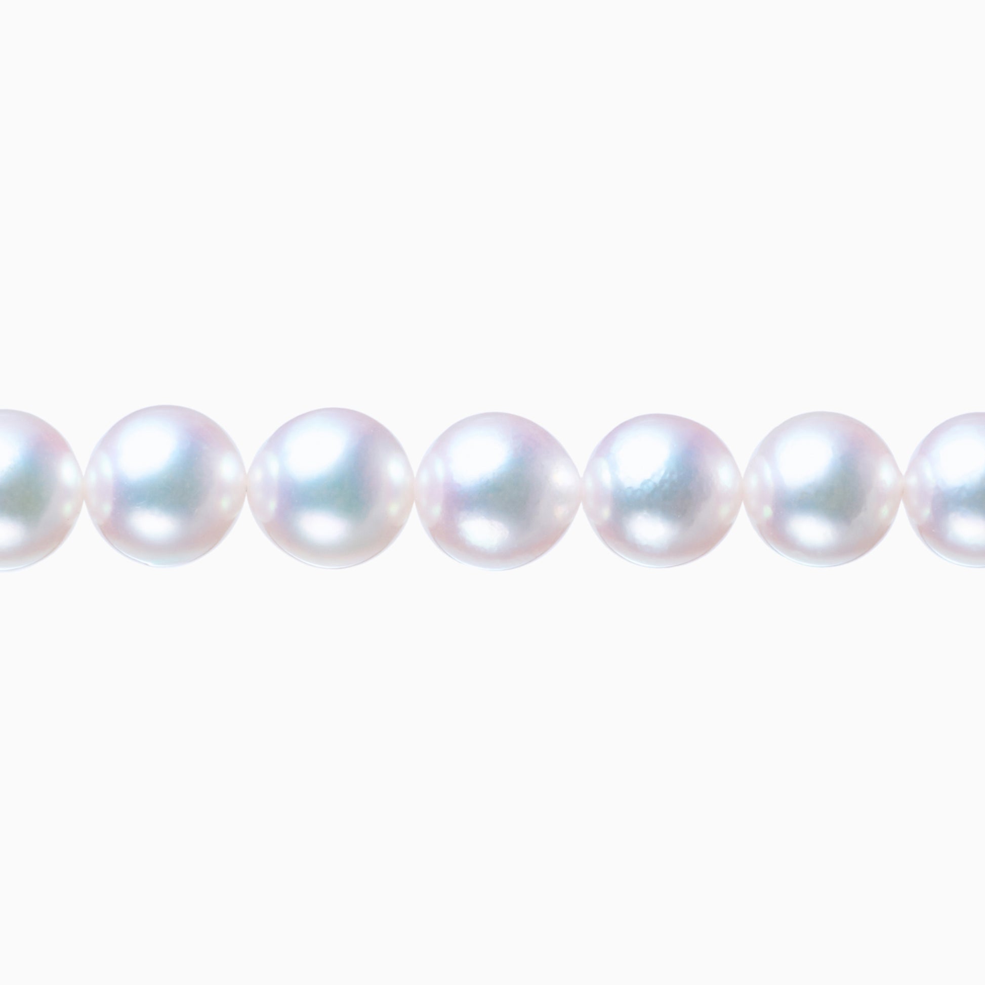 ネックレストップ