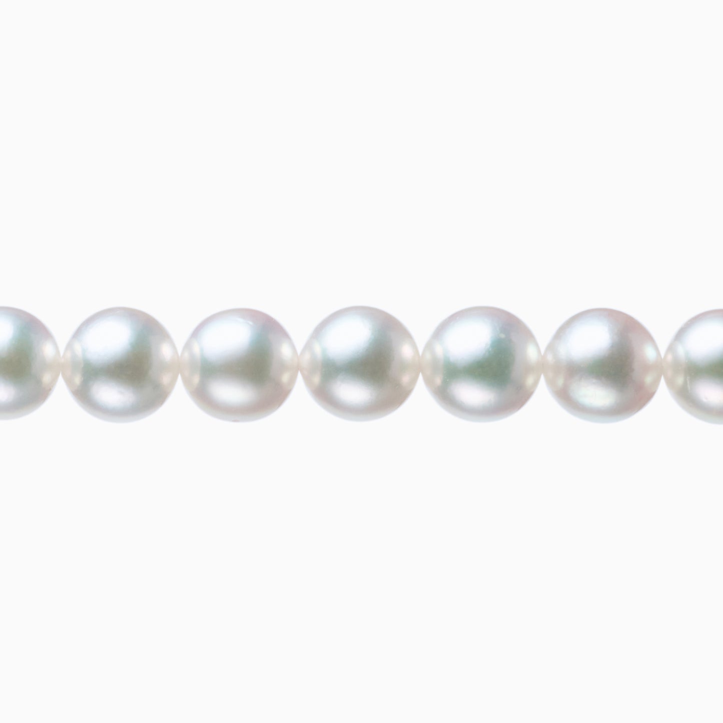 ネックレストップ