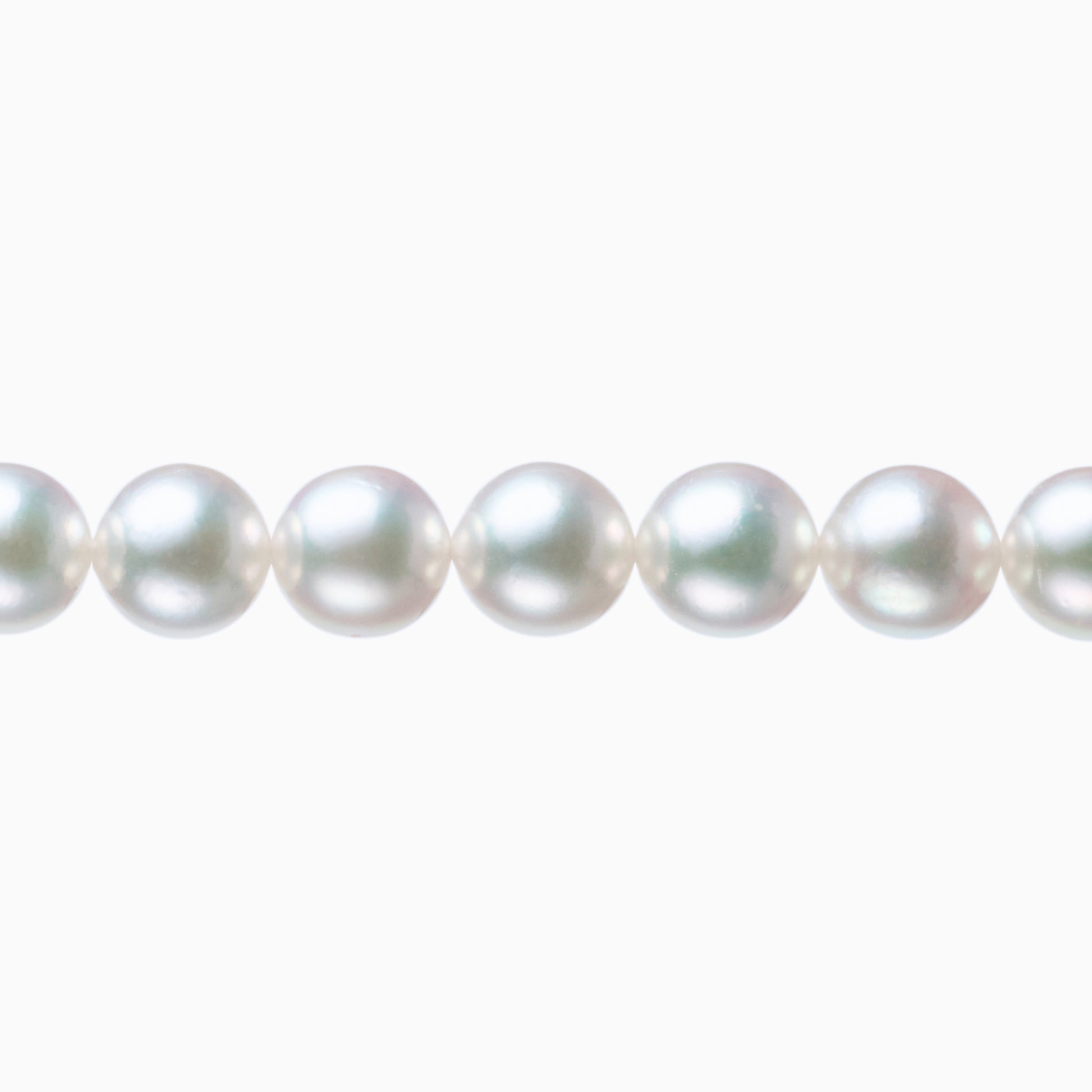 ネックレストップ