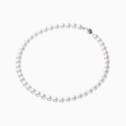 俯瞰正円サムネイル