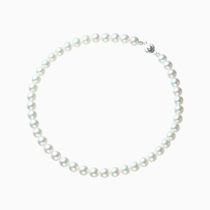 俯瞰正円サムネイル