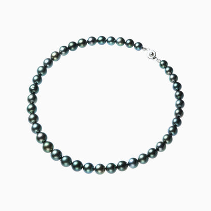 俯瞰正円サムネイル