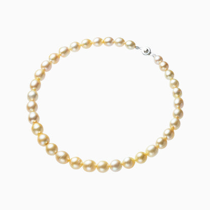 俯瞰正円サムネイル