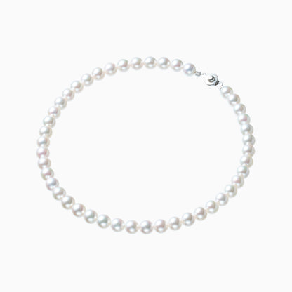 俯瞰正円サムネイル