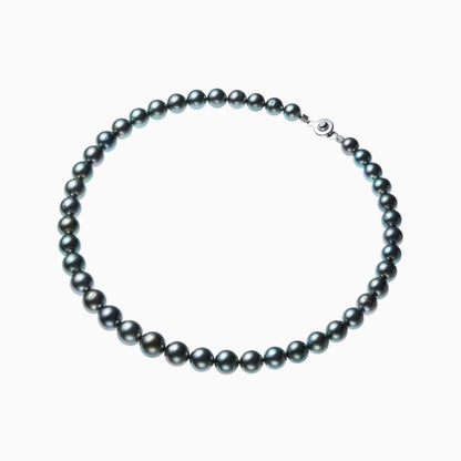 俯瞰正円サムネイル