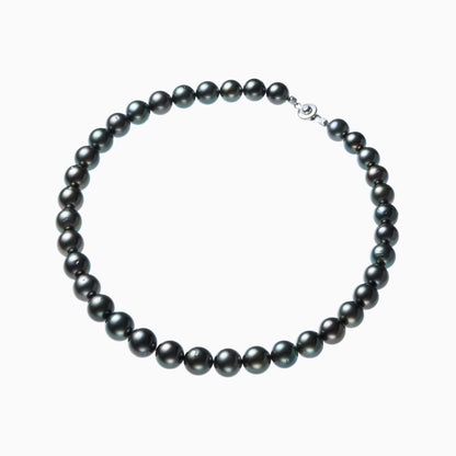 俯瞰正円サムネイル