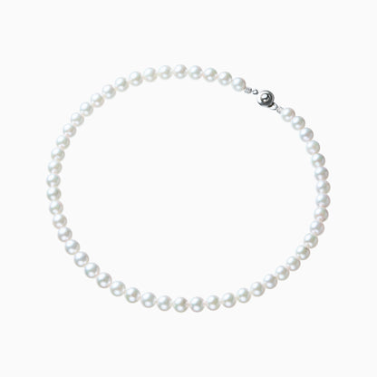 俯瞰正円サムネイル