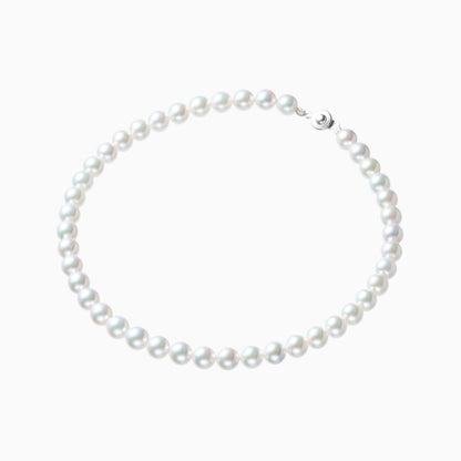 俯瞰正円サムネイル