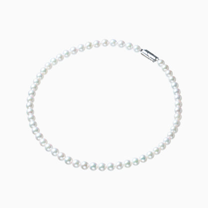 俯瞰正円サムネイル