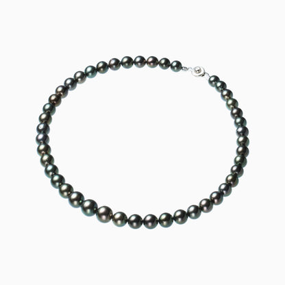 俯瞰正円サムネイル