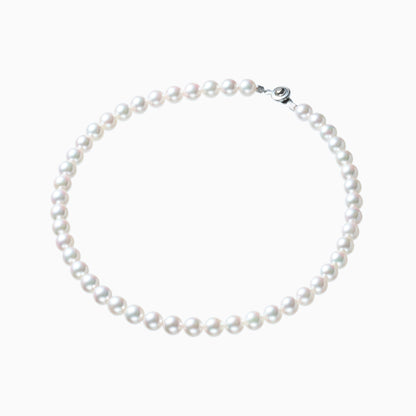 俯瞰正円サムネイル