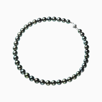 俯瞰正円サムネイル